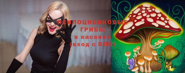 синтетический гашиш Белокуриха