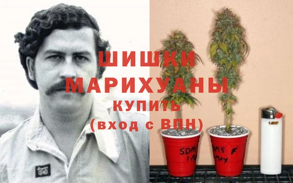 синтетический гашиш Белокуриха